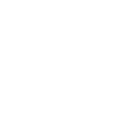 inventory icon